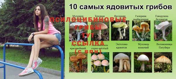MESCALINE Заводоуковск