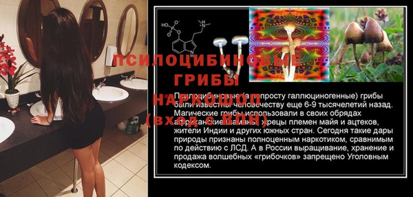 MESCALINE Заводоуковск