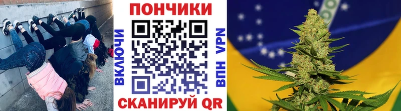 Купить  Салаир  Бошки Шишки OG Kush 
